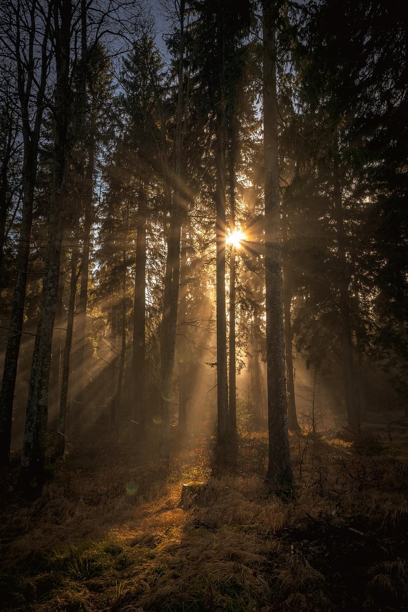 Connecting with Nature